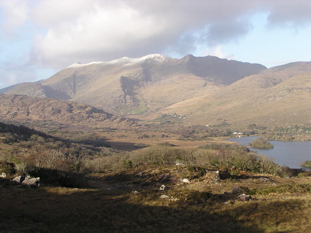Lady's view