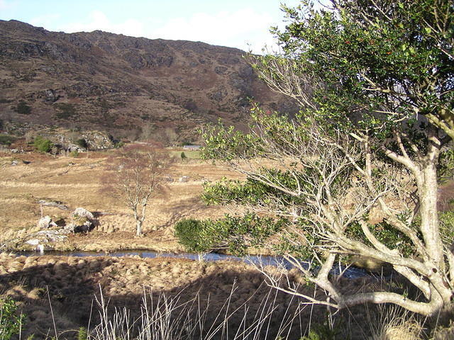 Wandeling over de Kerry way