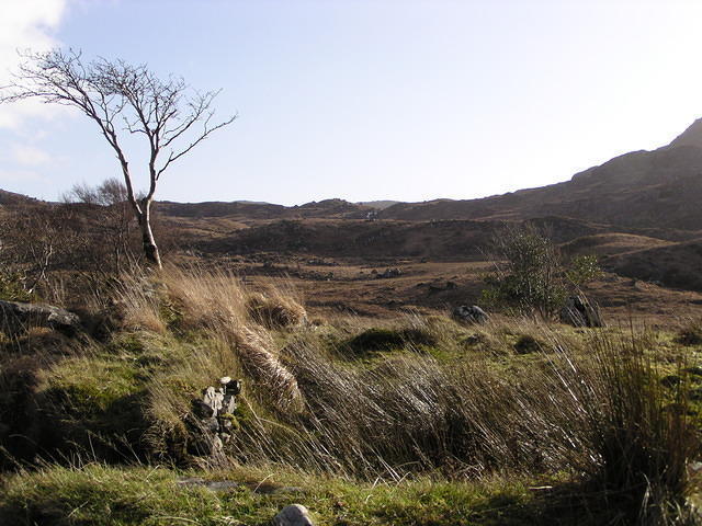 Wandeling over de Kerry way