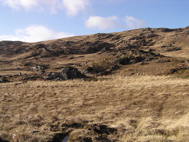 P1100204.JPG