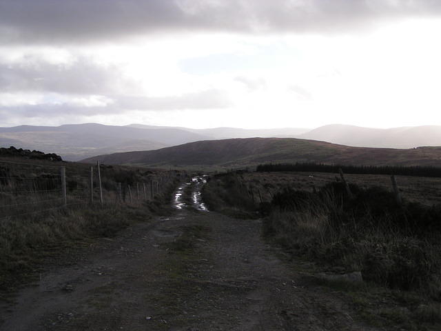 P1100215.JPG