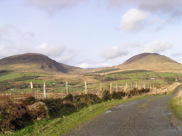 P1100217.JPG