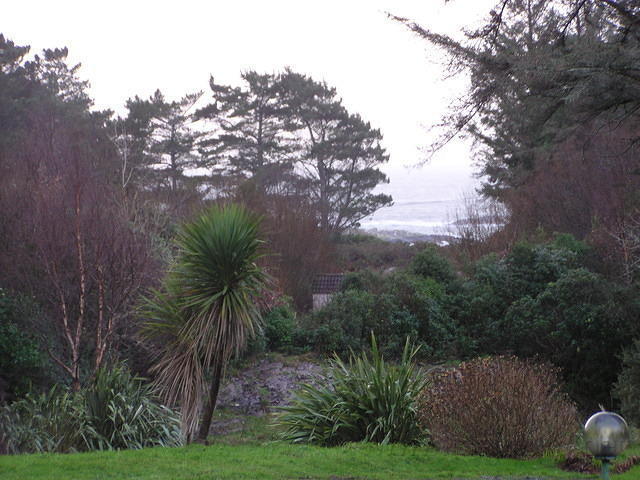 P1110221.JPG