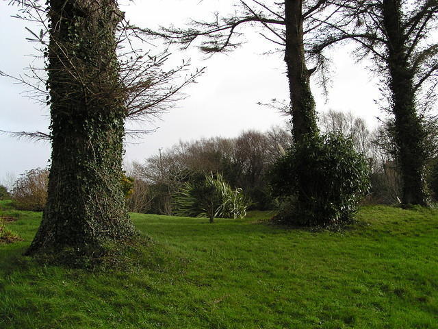 P1110232.JPG