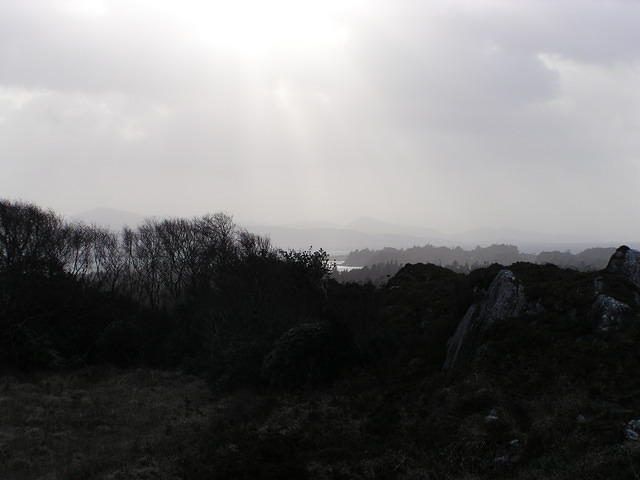 P1110233.JPG