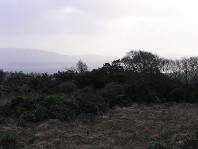 P1110234.JPG