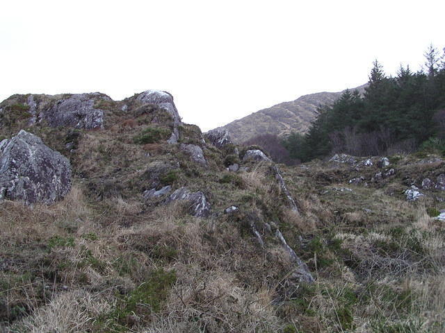 P1110235.JPG