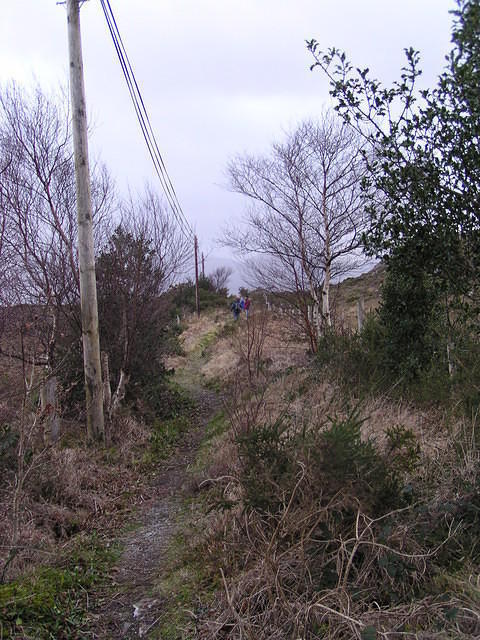 P1110236.JPG