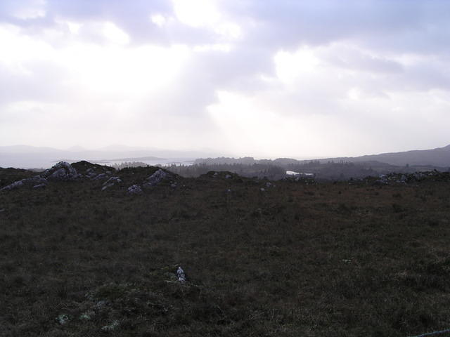 P1110237.JPG
