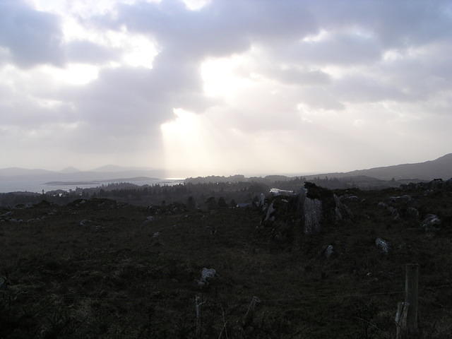 P1110238.JPG