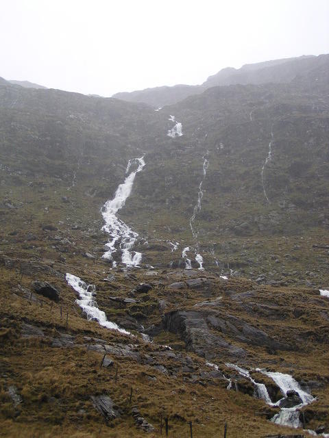 P1130246.JPG