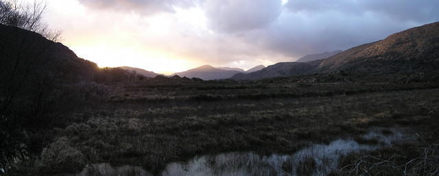 P1130251a.jpg