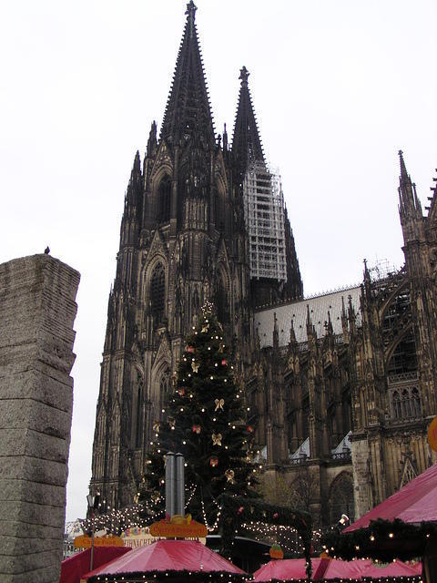 P1010051.JPG