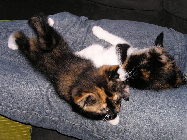 P8180048.JPG