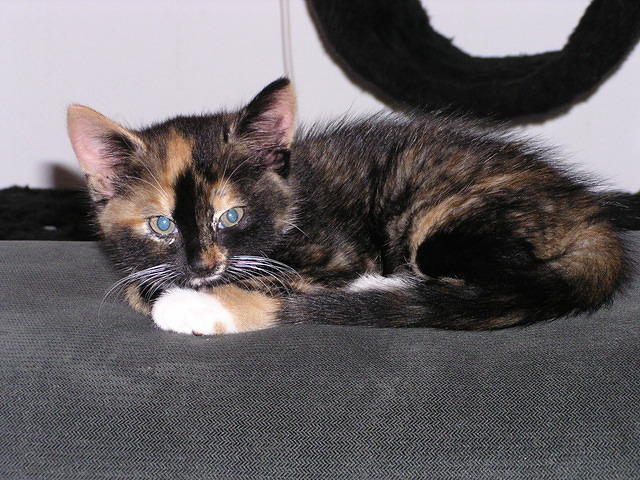 P8180054.JPG