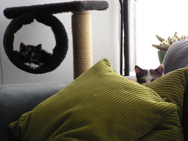 P8200058.JPG