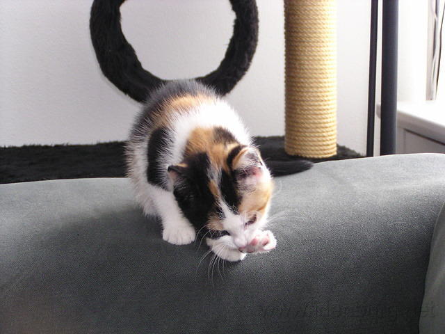 P8260001.JPG