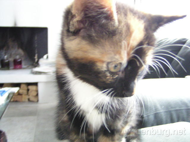 P8270004.JPG
