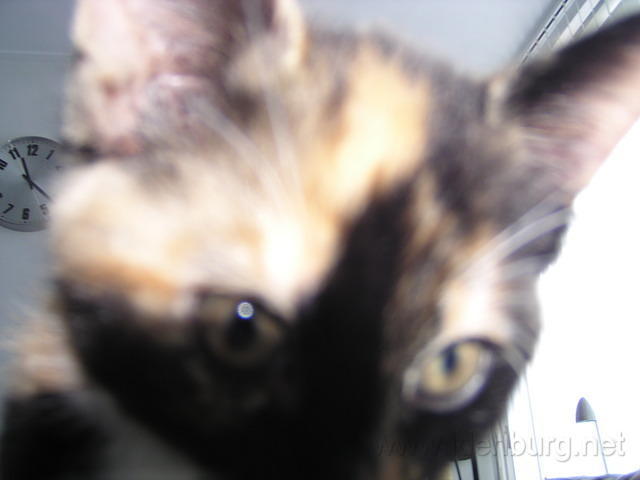 P8270006.JPG