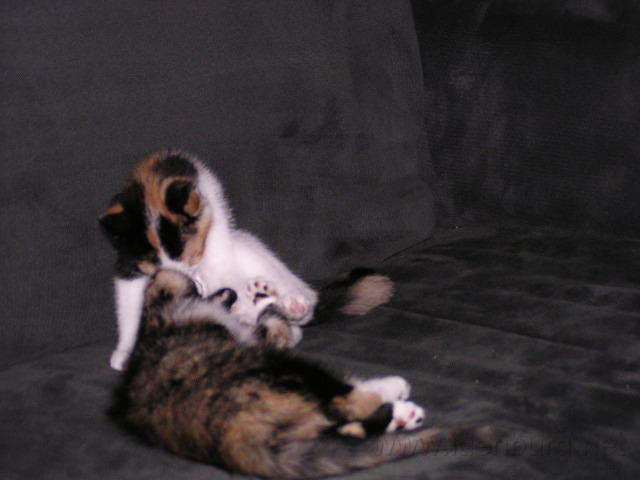 P8270009.JPG