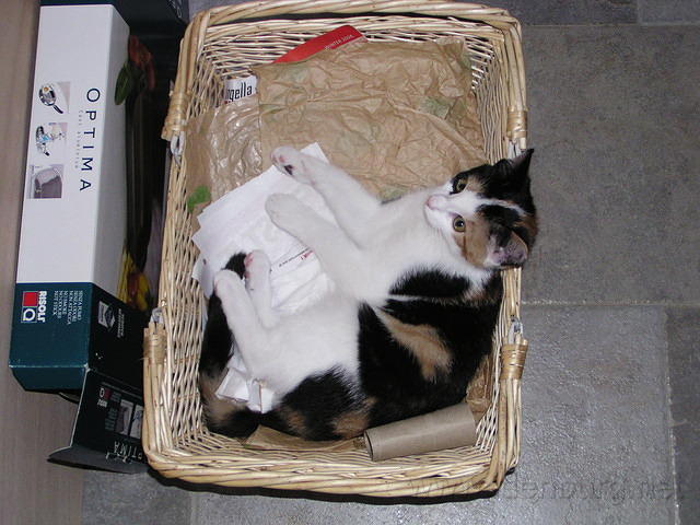 PA080001.JPG
