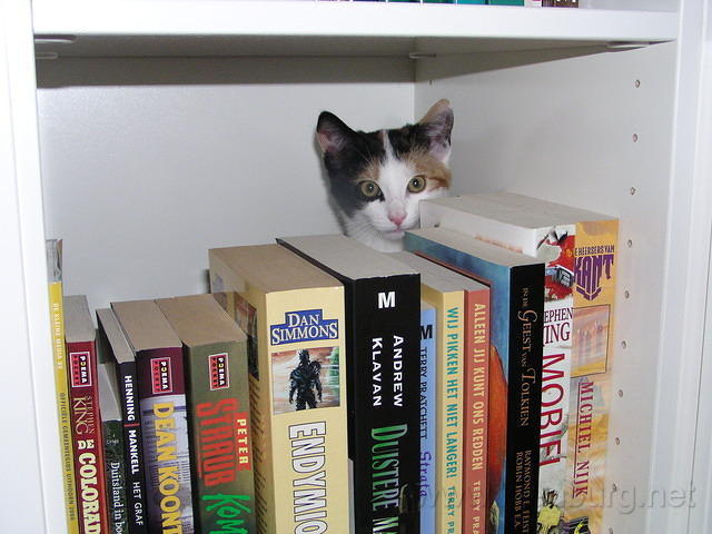 PA090007.JPG