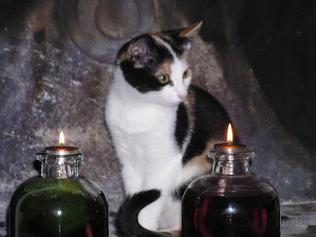 PA100015.JPG