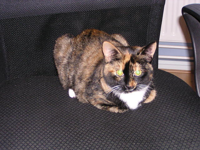PB280124.JPG