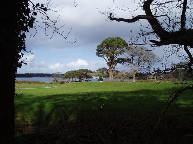 Muckross, beneden bij Torq Waterfall.