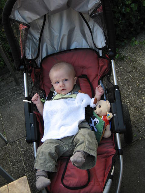 2008Texel 010.JPG