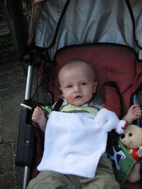 2008Texel 011.JPG