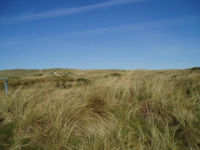 Uitzicht vanaf het avondterras met, over het duin, het pad naar het strand