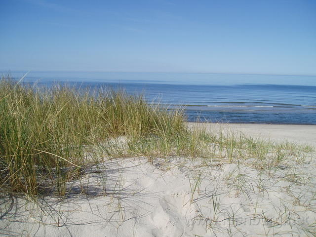Duin, strand en zee