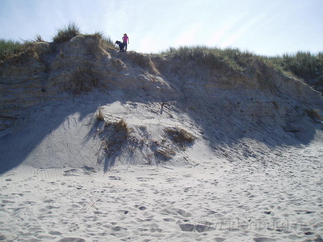 De duinen