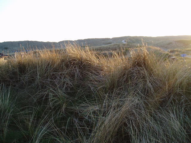 Zonsondergang (3)