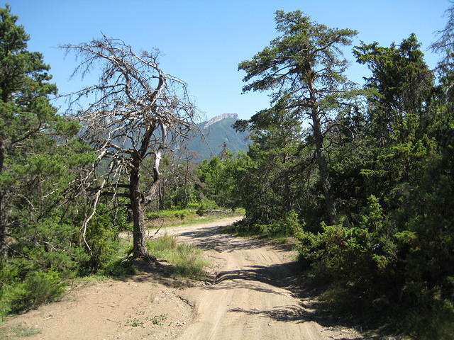 Franse Alpen en Morvan 046.JPG