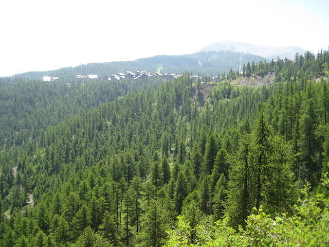 Franse Alpen en Morvan 083.JPG