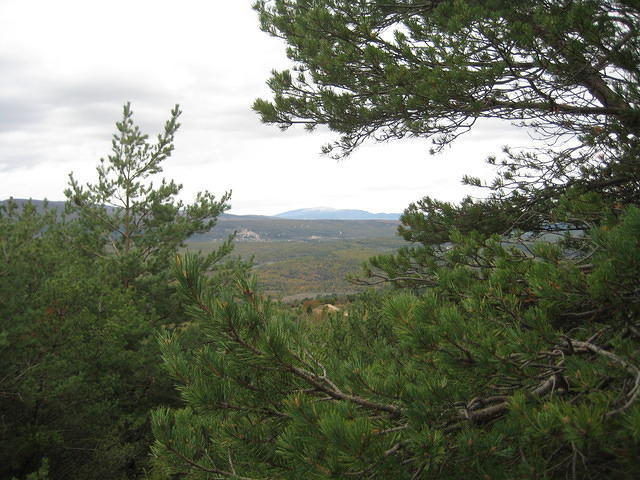 010.JPG