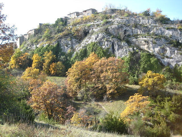 050.JPG
