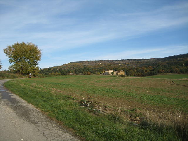 060