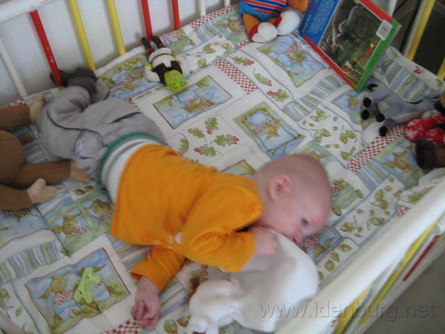 Beau in onze box