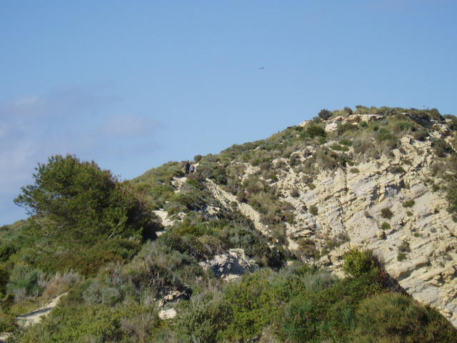 Cap de la Nao, de dames komen terug.