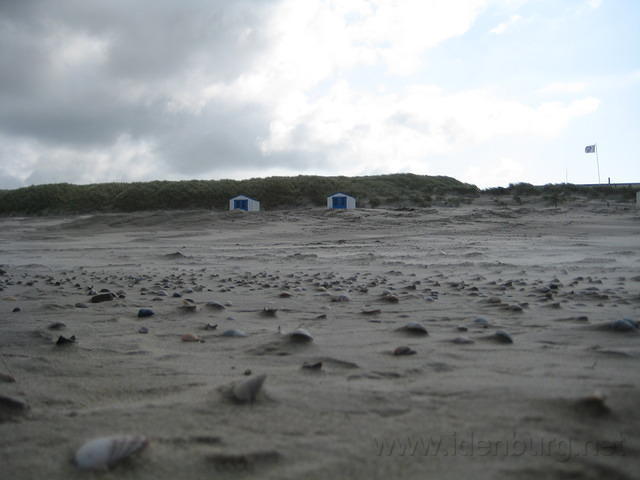 Schelpen in het zand 1