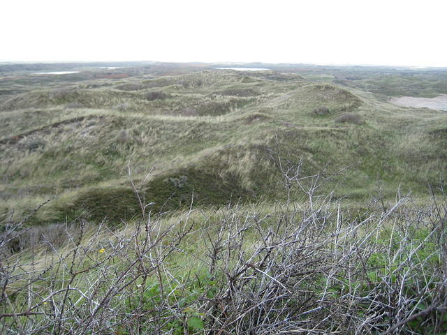 Uitzicht vanaf de Bertusnol