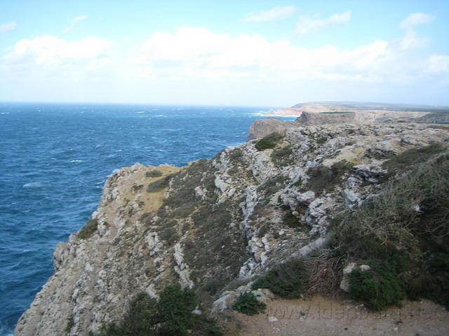 IMG 0864