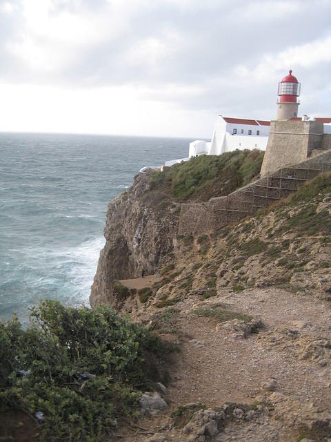 IMG 0867