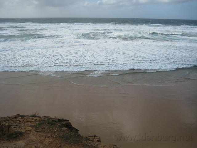 IMG 0870