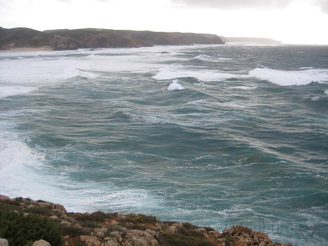 IMG 0874