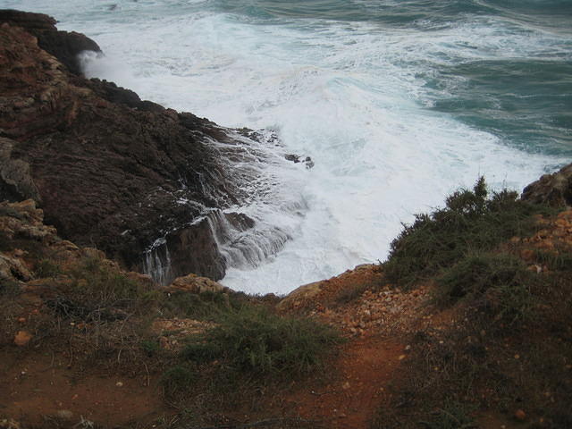 IMG 0877