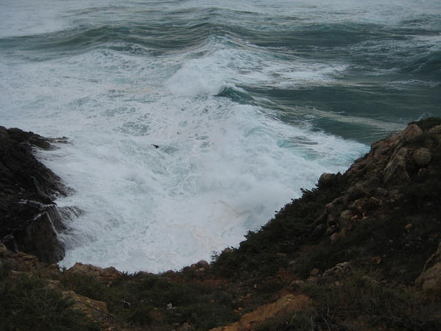 IMG 0878